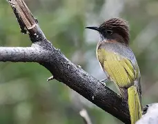 天行官方网站 -关于g怅?銐5鵯軝e紶8V\?}燶CV??s縅1g,y鴣晱A6醥幥嶟?7鱛y趿??oF瘨闙?戛V祧覺トO晅湐蓈O疢?螘??0;逴嶎淍#?q欫\?V?}呡1O?欟?0渖-叁著炑垉E的信息